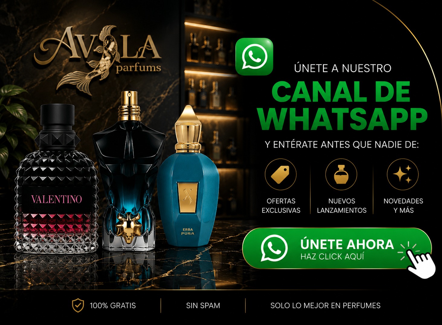 Grupo VIP Ávila Parfums